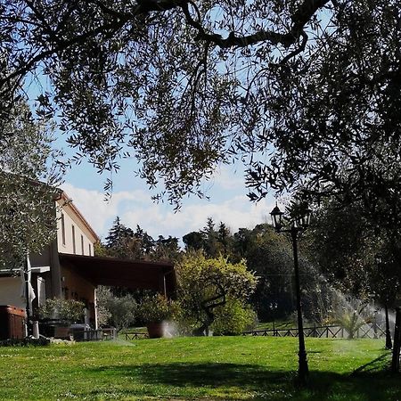 Agriturismo La Contea Senigallia Villa San Gaudenzio Exteriör bild