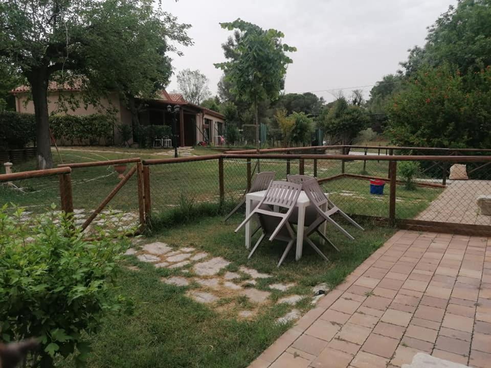 Agriturismo La Contea Senigallia Villa San Gaudenzio Exteriör bild