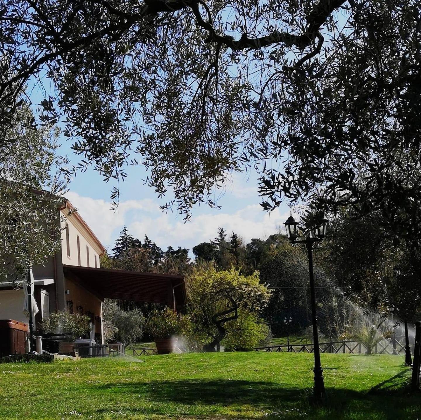 Agriturismo La Contea Senigallia Villa San Gaudenzio Exteriör bild